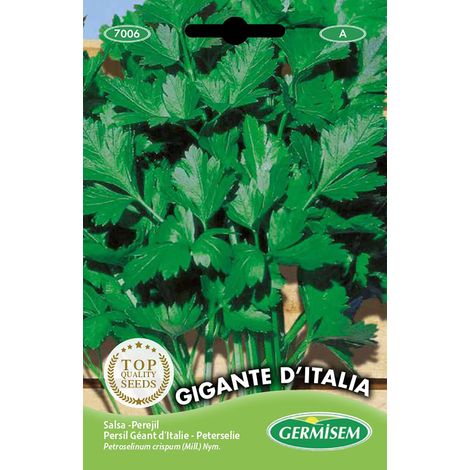 Germisem Gigante D'Italia Semi di Prezzemolo 10 g