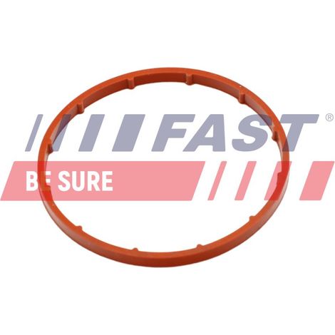 VAKUUMPUMPENDICHTUNG FT50701 FAST