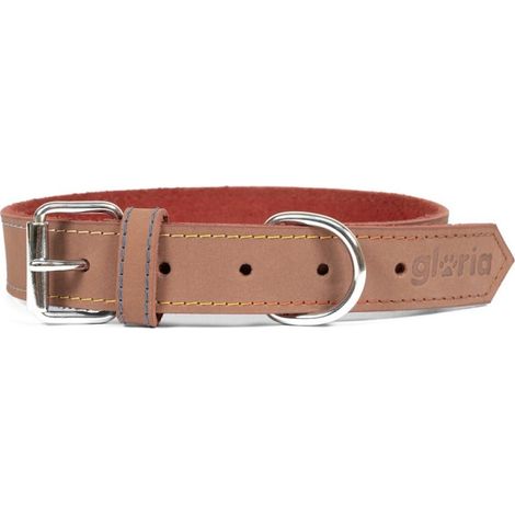 Collier pour Chien Gloria Oasis Marron (1,2 x 35 cm) (1/5)
