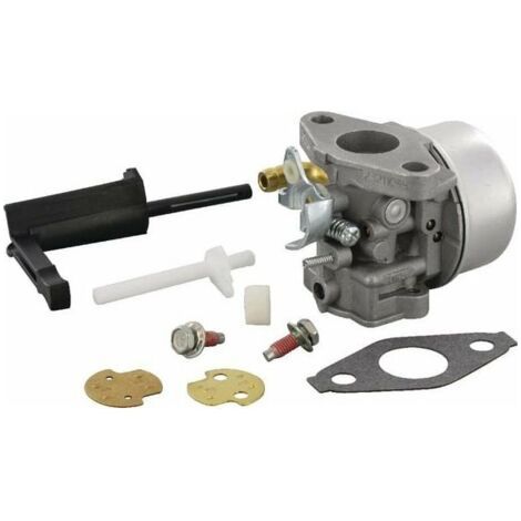 Carburetor for 798653--BIEMMEDUE (1/4)