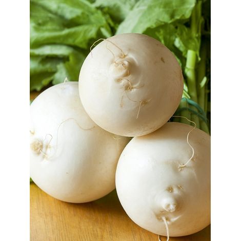 Navet 'Snowball' le sachet de 2000 graines (5g) (1/2)
