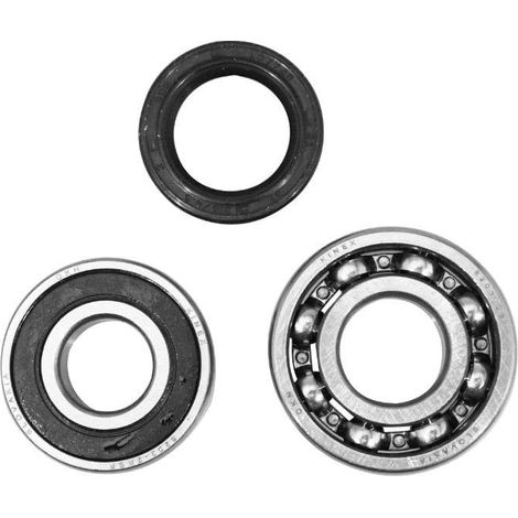 Kit Roulement Et Joint Spi Pour Solex 2200 3300 3800 5000 - Double Étanchéité (1/2)