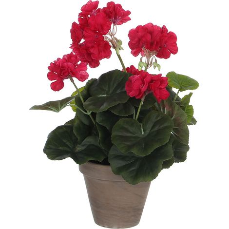Geranie dunkelrosa pvc mit grauem Topf