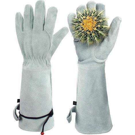 Gants de jardinage anti-épines de protection pour cactus de taille pour rosiers (1/4)