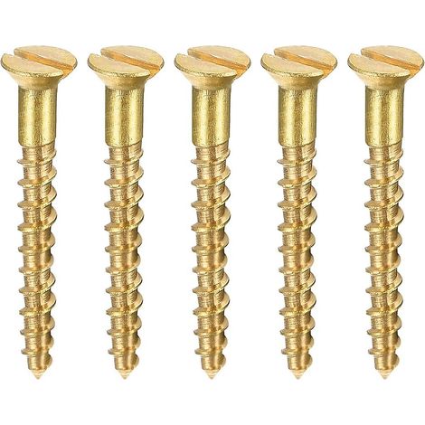 100 vis à tête plate fendue M2 x 16 mm (1/5)