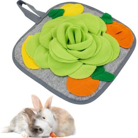 Tapis de recherche de lapin et renifler antidérapant 30 cm, corde de suspension, tapis coloré pour chinchillas, oiseaux, chiots, cochons d'Inde, dressage à renifler (1/5)