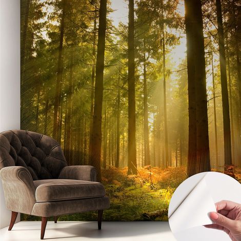 Papier peint autocollant avec imprimé pour cuisine facile à appliquer pour mur a motif Matin dans la forêt 250x250 cm (1/5)