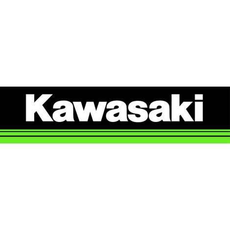 Ricambi ORIGINALI KAWASAKI motore TJ27 TJ35 TJ45 TJ53 TH26 TH34 TH43 TH48 TH-34 - Puleggia avviatore