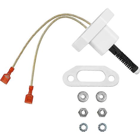 Allumeur de surface R0457502 pour chauffe-piscines et spas Zodiac Jandy JXi, modèles 200, 260 et 400. Remplace la référence 47-100-1100. (1/5)