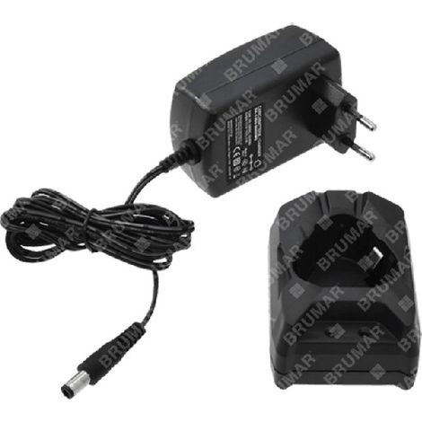 Caricabatterie XH-1350-2000WG per pruner a batteria 12 V - 058462