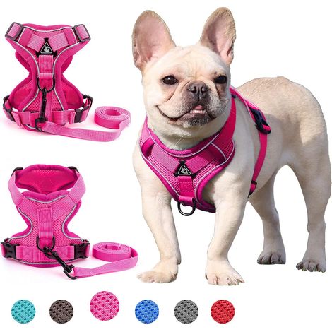 1 Harnais Chien, Maille Respirante, Sangles Nylon, Anneaux Zinc, Réglable, Pour Marche Et Dressage (1/5)