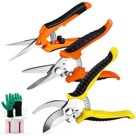 Secateurs De Jardin - Lames En Acier Inoxydable - Pour Taille De Plantes Et Arbustes - Lot De 3 Avec Gants De Jardinage (1/5)