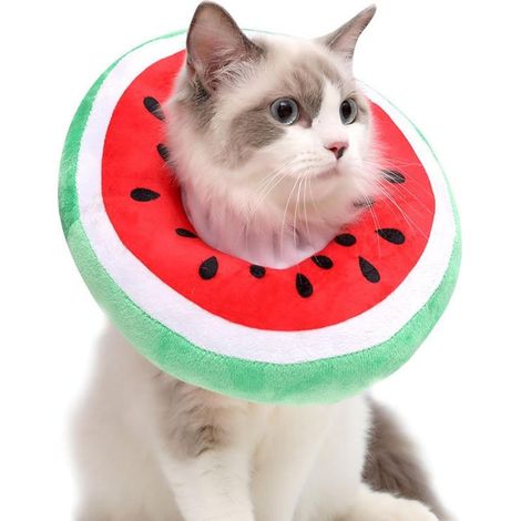 Collier de récupération pour chats Collier de récupération pour chats Collier de protection pour chats Mignon élisabéthain, collier de protection pour petits chiens (1/5)