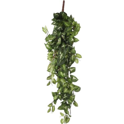 Plante suspendue artificielle Fittonia vert pour étagère et plafond avec piquet 80 cm - PANGIVO (1/4)
