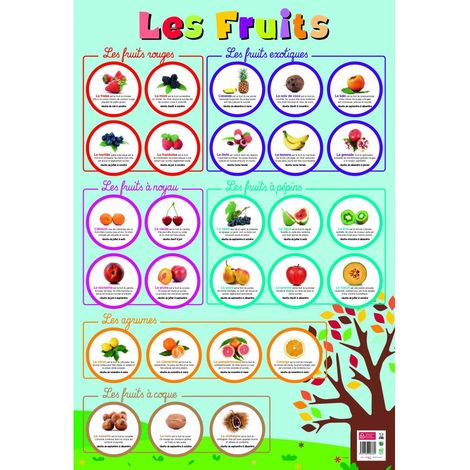 Poster pédagogique - Fruits - 52 x 76 cm - Livraison gratuite