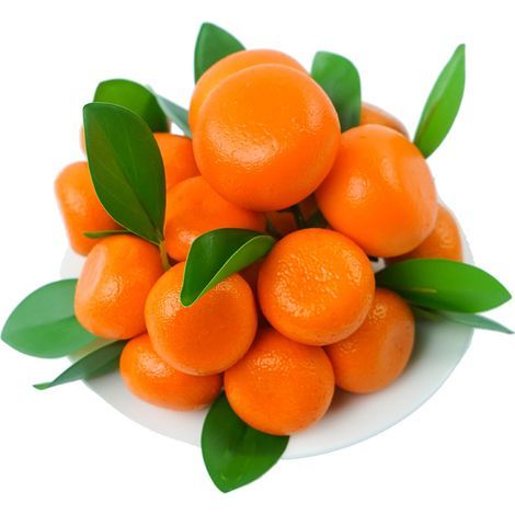 Stück künstliche Früchte, Orangen mit Mandarinenzweigen, Mandarinenkette, 3/6 Köpfe Satsuma-Mandarine (3 Köpfe + 6 Köpfe Mandarine pro Kette) (a) (1/5)