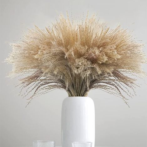 Pampas Grass - 100 Pièces - Tige Séchée Naturelle - 40 cm - Pour Décoration Intérieure Extérieure Mariage Vase Couronne Porte - Lot (1/5)