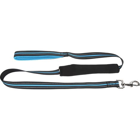 Strapazierfähige und bequeme reflektierende Nylon-Sicherheitsleine für Hunde, ideal fürs Auto (blau, Größe M). (1/5)
