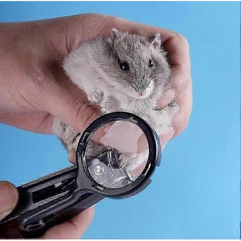Coupe-ongles pour petits animaux avec loupe - en acier inoxydable, compatible avec divers petits animaux tels que les lapins, les hamsters, les furets et les chinchillas. (1/5)