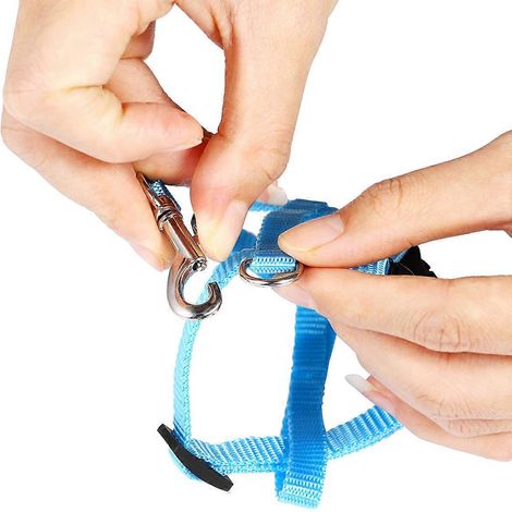 Juego de 3 arneses y correas para pasear conejos, marca Ueetek, ajustables, color azul cielo. (1/5)