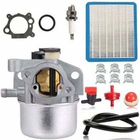 Carburateur pour Briggs & Stratton 799871 799866 790845 796707 794304 Moteur Toro Recycler 22\'\' Craftsman Tondeuse à gazon Pièces avec filtre à air Ligne de carburant Ampoule d\'amorçage,DEBUNS