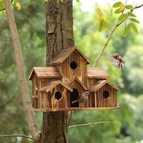 Maison Pour Oiseaux - Bois Naturel - 6 Entrées - Pour Jardin Cour Arrière Terrasse - Dimensions 20 x 14 x 13 cm - 1 Pièce (1/5)