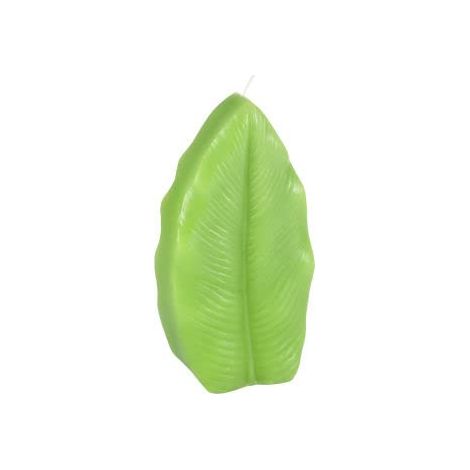 Bougie Feuille 9,5 x 3,5 x H18 cm Jardin d'hiver Coloris Vert Clair