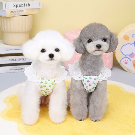 2 robes d'été pour chien, jupe pour animal de compagnie, violet et jaune, tailles S à XL, vêtements festifs pour chiennes (1/5)