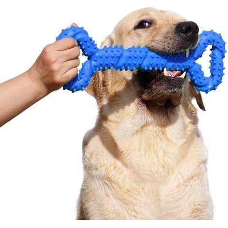 Robustes Kauspielzeug aus Gummi für Hunde – 33 cm langer Knochen mit konvexer Form – interaktiv und stabil für Welpen und temperamentvolle Hunde aller Größen – Blau (1/5)