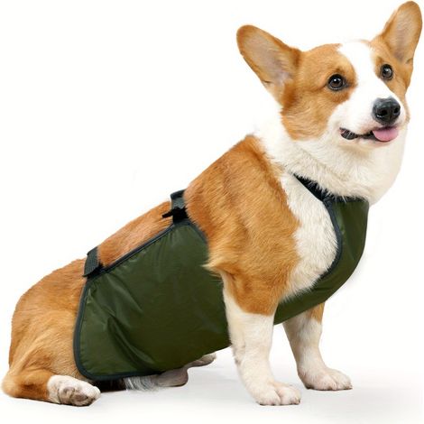 Faja abdominal transpirable para perros machos, impermeable y repelente a la suciedad, lavable, ideal para el aseo de tu mascota. Talla única. (1/5)