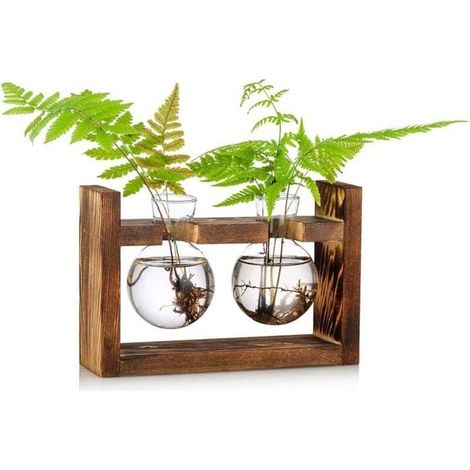 Vase en verre - PZCC - Support bois + 2 vases - Verre borosilicaté - Marron - Intérieur (1/4)