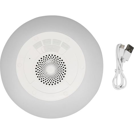 Enceinte Bluetooth IPX7 Flottante pour Piscine avec Lumières (1/5)