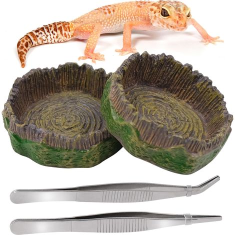 Titre : Lot de 2 Gamelles en Résine pour Reptiles avec Pinces de Nourrissage - Bol d'Eau et de Nourriture Décoration de Vivarium pour Lézard, Tortue, Gecko, Araignée (1/5)