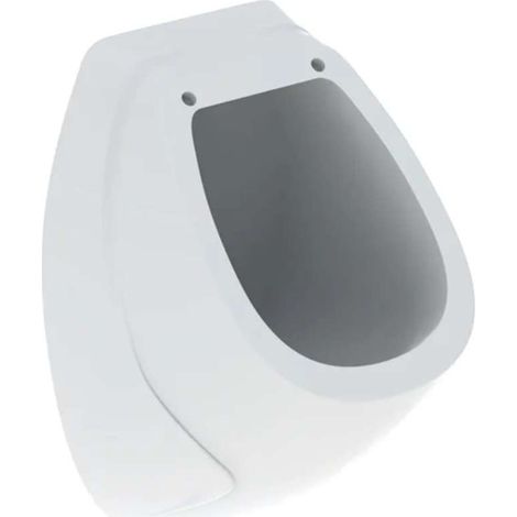 Geberit - Urinale, ingresso posteriore, bianco 239200000 (1/2)