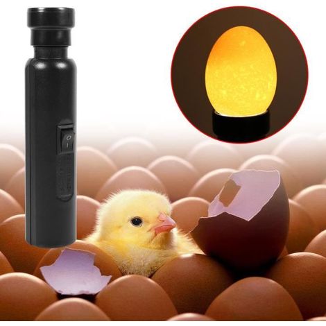 Testeur d\'oeufs Candler Incubateur lampe à oeufs poussin Super Bright Egg Candler Testeur couveuse LED lumière froide - BIG (1/4)