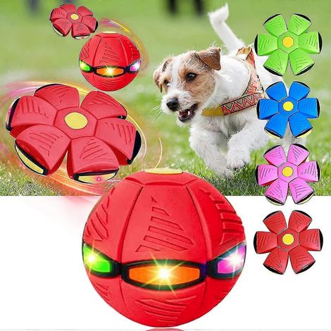 Balle soucoupe volante, jouet pour chien 2023 (1/5)