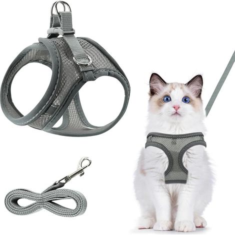 Harnais pour chat - avec laisse et chat, gris (1/5)