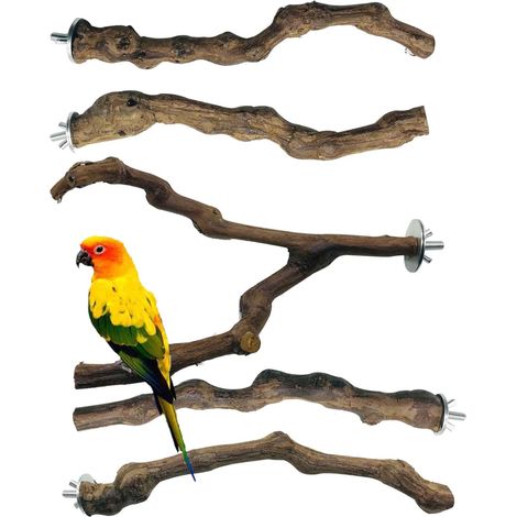 Perchoir en Bois Naturel pour Oiseaux Support de Cage pour Perroquet Perruche et Canari Lot de 5 Pièces (1/5)