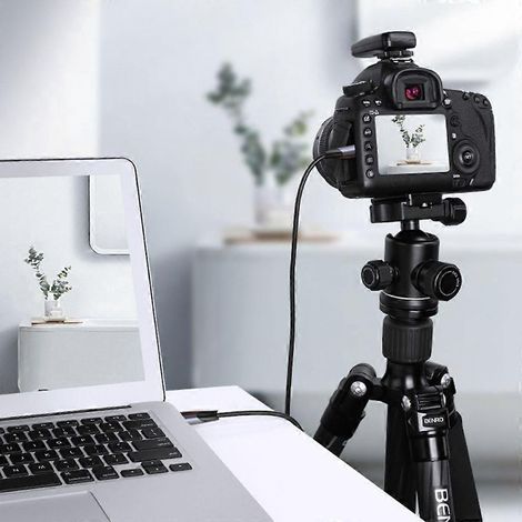 Câble adaptateur USB mâle vers mâle en T à 5 broches, débit de 480 Mbps (1/4)