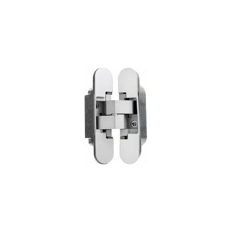 Bisagra invisible para puertas, juego de 2 bisagras invisibles para puertas pesadas, capacidad de carga de 35 kg, apertura de 180º, zamak (1/4)