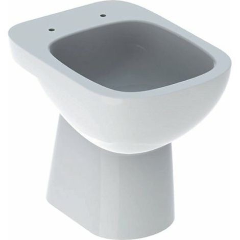 GEBERIT - FANTASIA VASO A PAVIMENTO A CACCIATA C/SCARICO VERTICALE 500.854.00.1