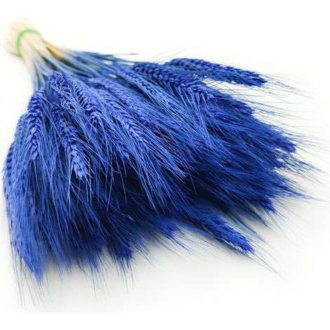 Getrockneter Triticale - Blau (1/5)