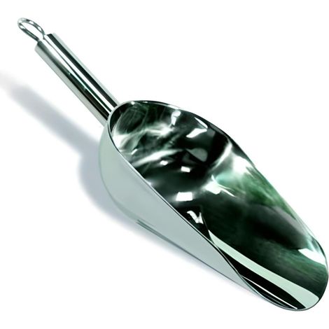 Pelle à poussière 250grs en Inox - Longueur 12cm