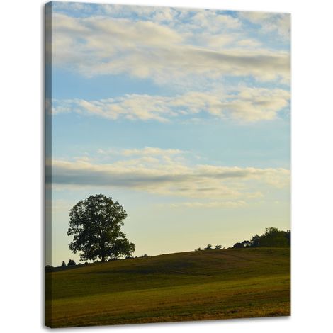 Leinwanddruck Natur Baum auf einer Wiese 30x40 cm Himmel Wiese Wolken