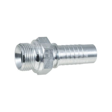 Punta in acciaio inox AGR DN20 3/4" BSP (1/3)