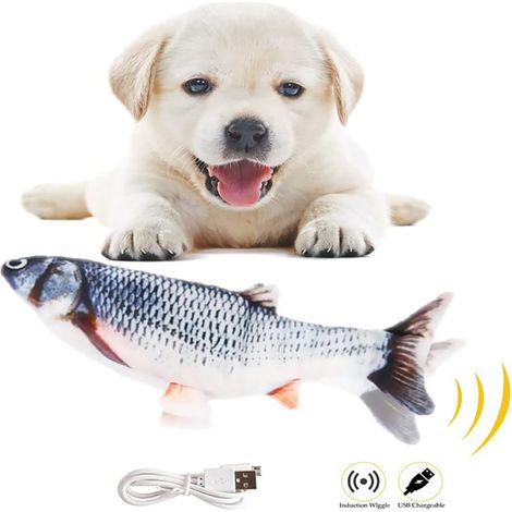 Jouet Électronique Interactif Pour Chat - Poisson Souple Rechargeable Avec Sac À Herbe À Chat Intégré - 3 Vitesses - Câble USB Inclus (1/5)