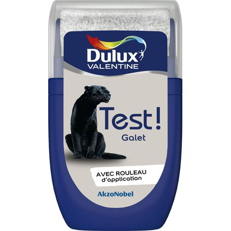 Testeur couleur Galet 30 mL - Peinture Dulux Valentine (1/5)