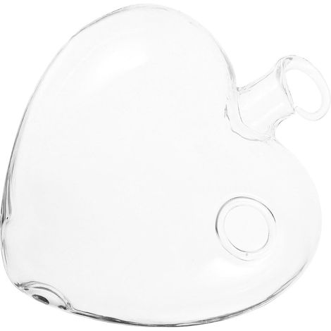 Vases suspendus purificateurs d'air en borosilicate FOMIYES, disponibles différents styles (1/5)