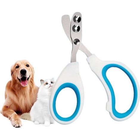 Ciseaux à ongles pour chats et petits animaux – ciseaux à ongles coniques de 2 mm, bleu, ergonomique, pour débutants (1/4)