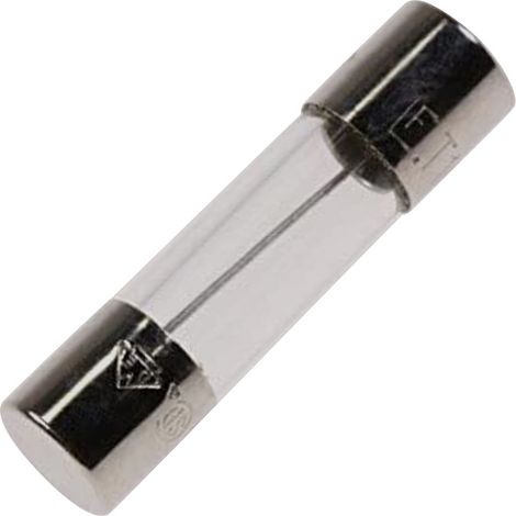 Ersatzteil - Glassicherung 5 x 20 mm, 10 a, original -  - WHIRLPOOL, BAUKNECHT, IKEA, ARISTON HOTPOINT, KITCHENAID, V-ZUG, IGNIS, LADEN, INDESIT, PRIVILEG, RADIOLA, CYLINDA, BRASTEMP